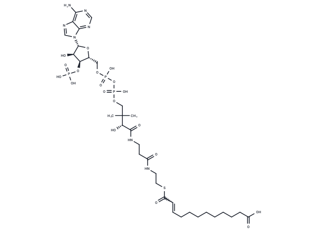 trans-2-Dodecenedioyl-CoA
