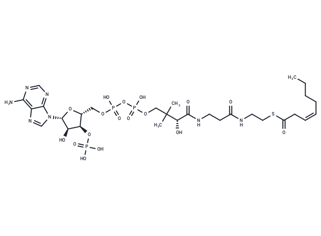 cis-3-Octenoyl-CoA
