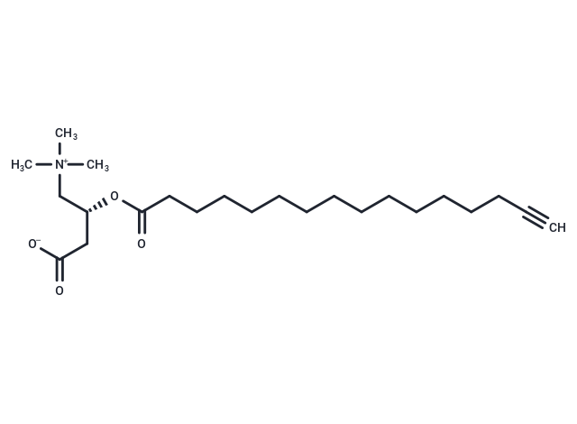 C16:0(Alkyne) L-carnitine
