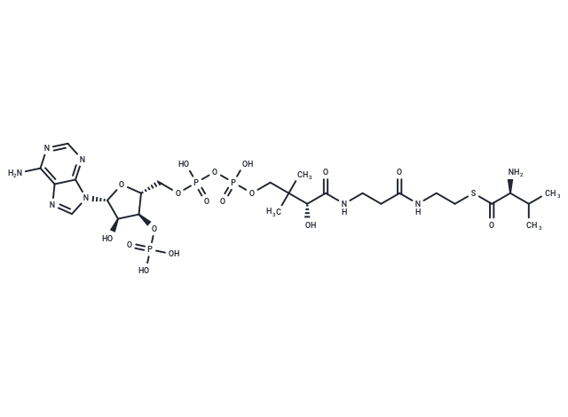 L-Valine-CoA