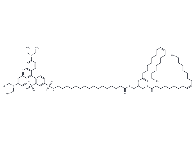 16:0-LR/18:1/18:1 TG - Lissamine rhodamine