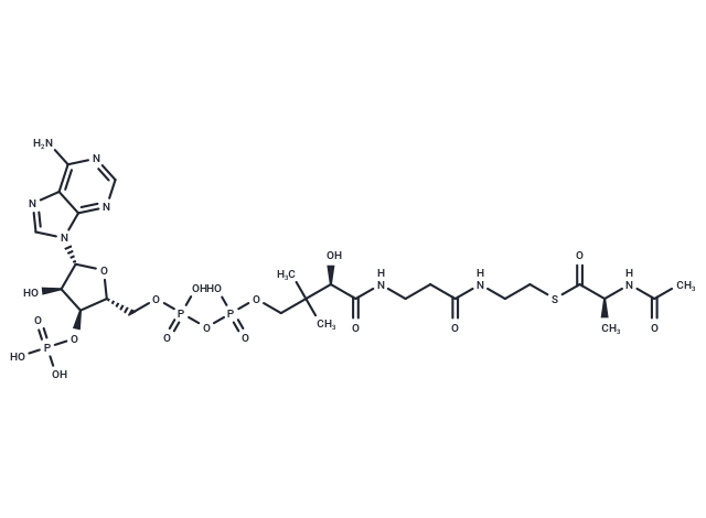 N-Acetylalanine-CoA