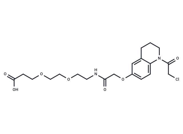 KB02-amide-PEG2-C2-acid