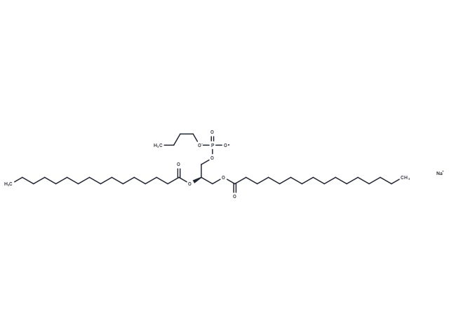 16:0 Phosphatidylbutanol sodium