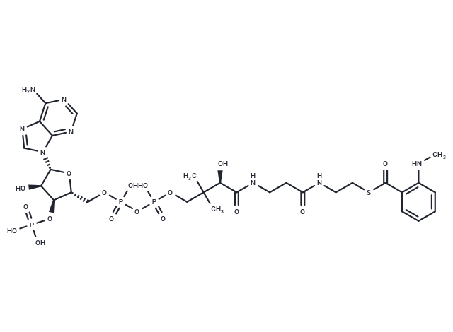 N-Methyl-anthraniloyl-CoA