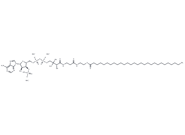 28:0 Coenzyme A ammonium