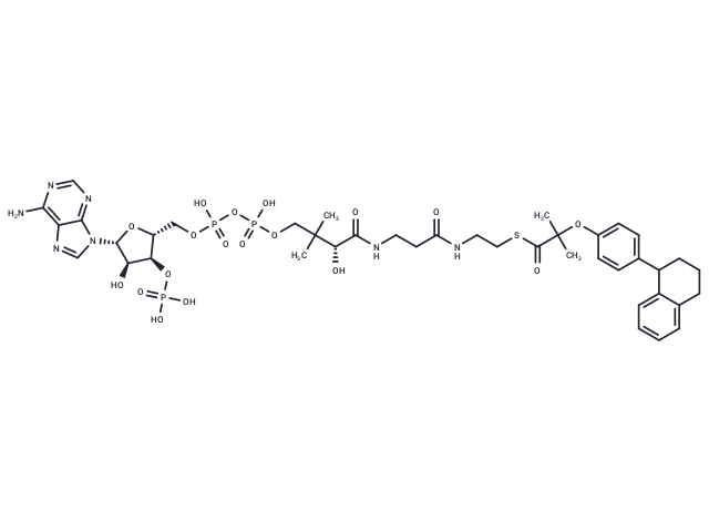 Nafenopin-CoA