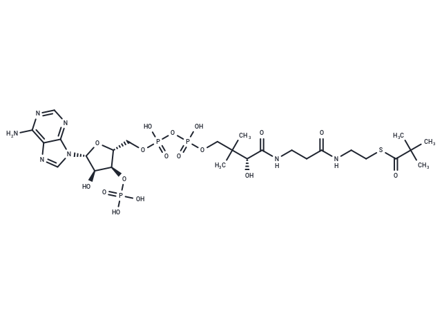 Pivaloyl-CoA