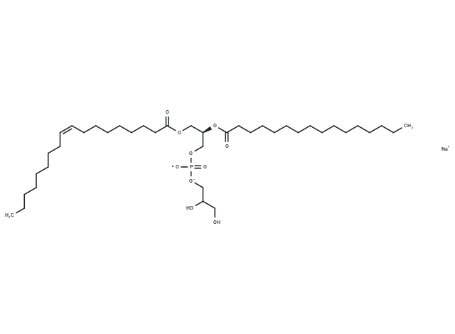 18:1(n9)-16:0 PG-IsoPure sodium