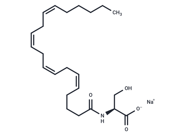 N-Arachidonoyl-L-Serine sodium