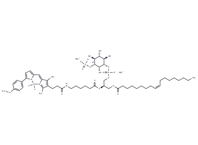 BDP TMR PI(3)P diammonium