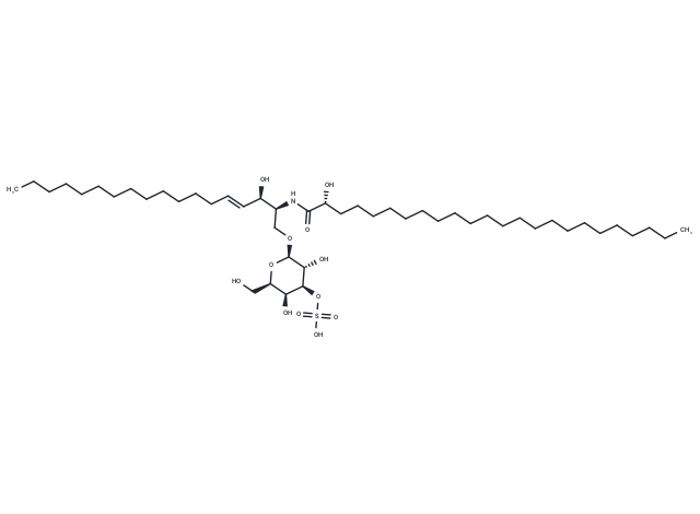 C24:0(2R-OH) Mono-sulfo galactosyl(ß) ceramide (d18:1/24:0)