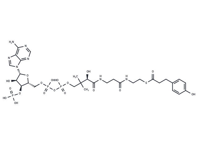 p-Dihydrocoumaroyl-CoA