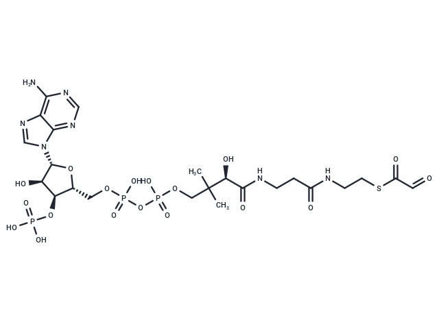 Glyoxalate,glyoxylate-CoA