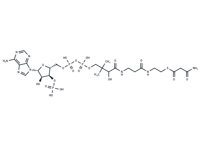 Malonamoyl-CoA