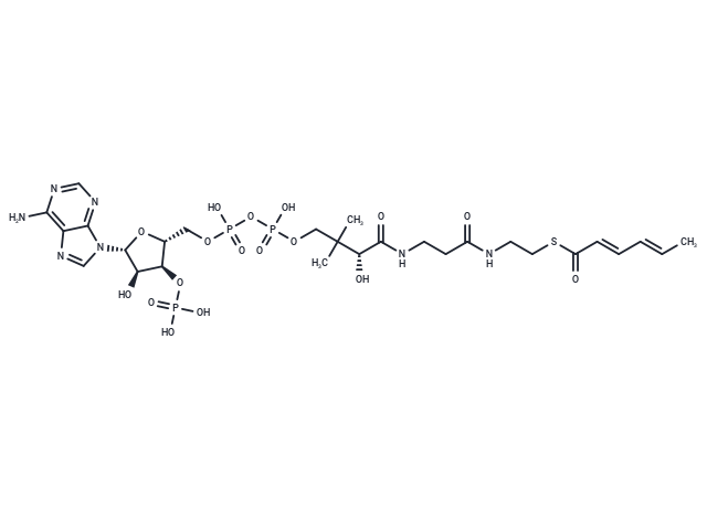 Sorboyl-CoA