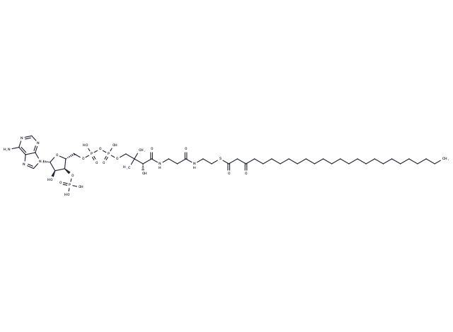 S-(3-Oxohexacosanoate)-CoA