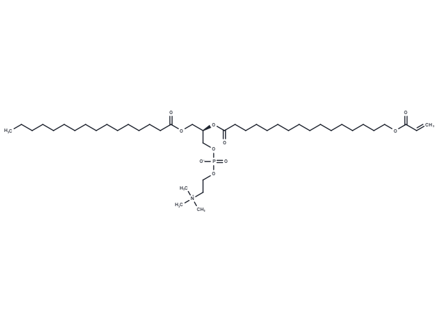 16:0-16:0(Acrylate) PC