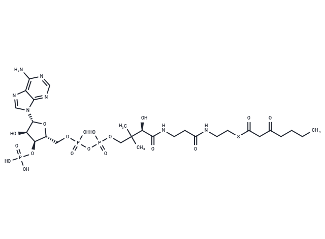 betaMethoxyvaleroyl-CoA