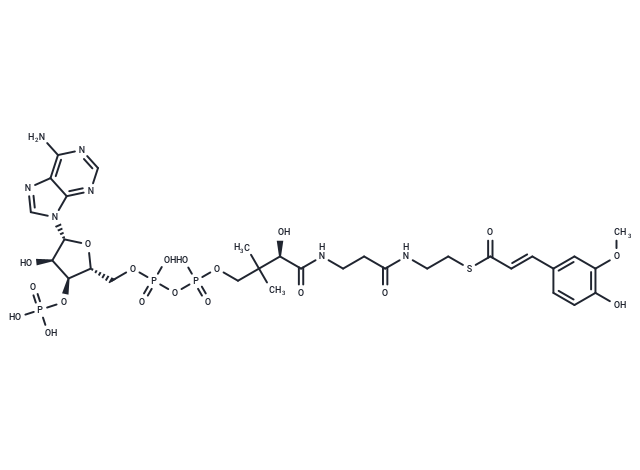 trans-Feruloyl-CoA