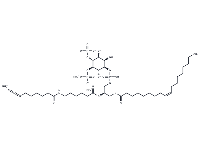 18:0-20:4 PI(4)P ammonium