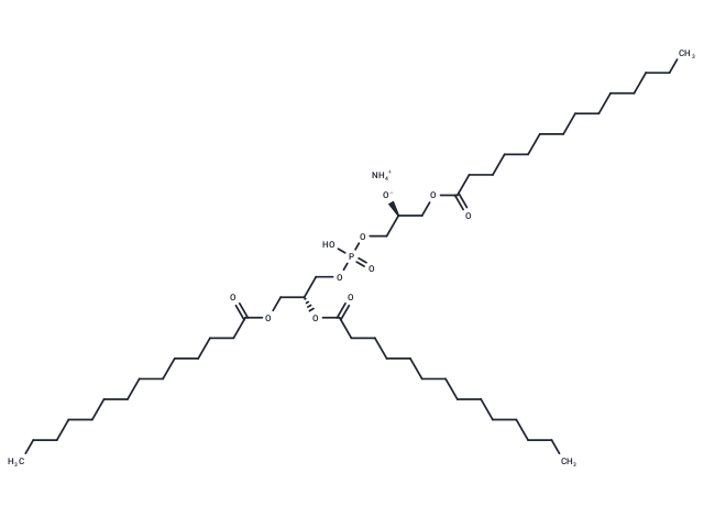 14:0 Hemi BMP (S,R) ammonium