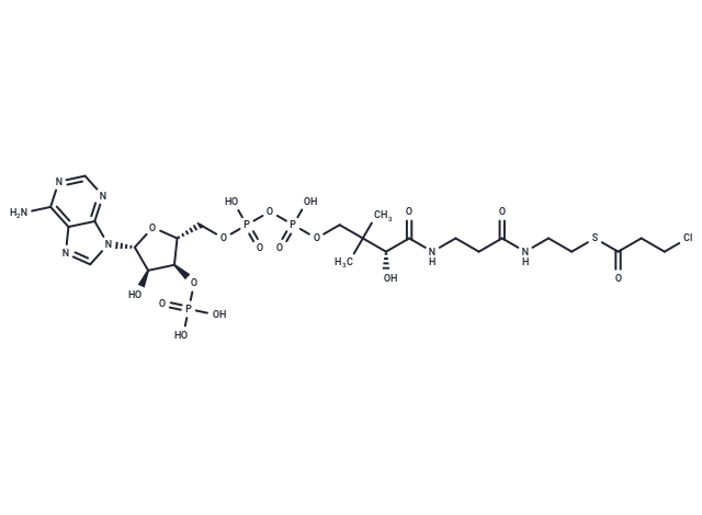 S-(3-Chloropropanoate-CoA