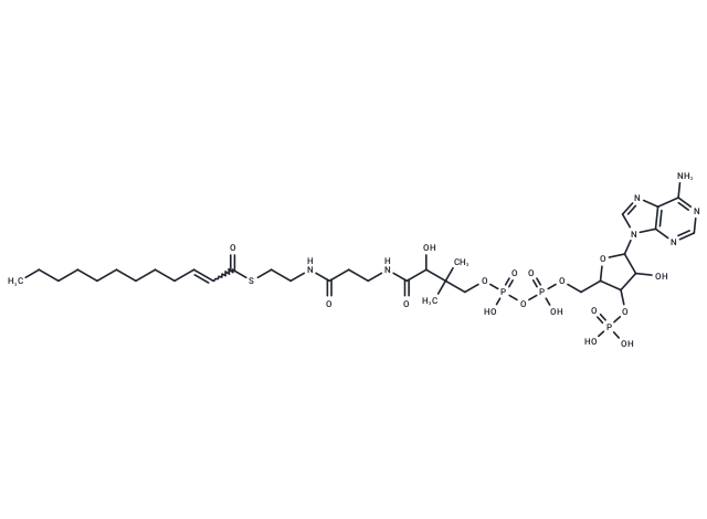 Dodecenoyl-CoA
