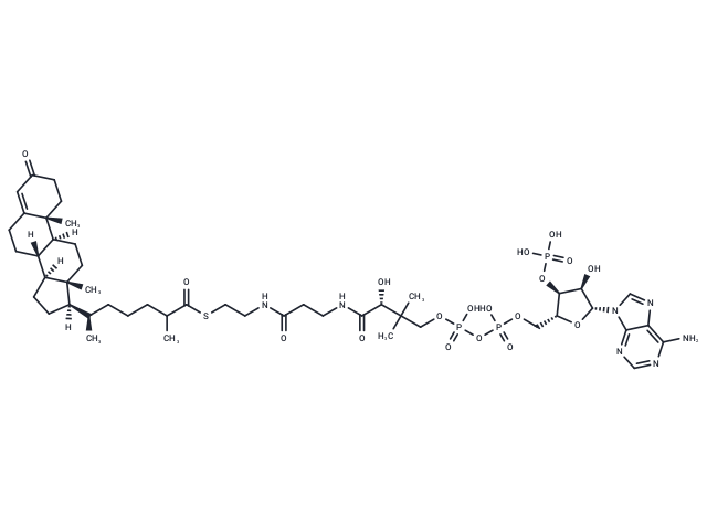 Delta(4)-dafachronoyl-CoA