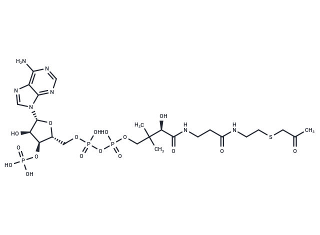 S-Acetonyl-CoA