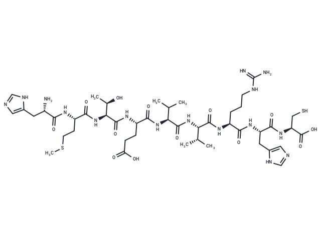TP53 neoepitope
