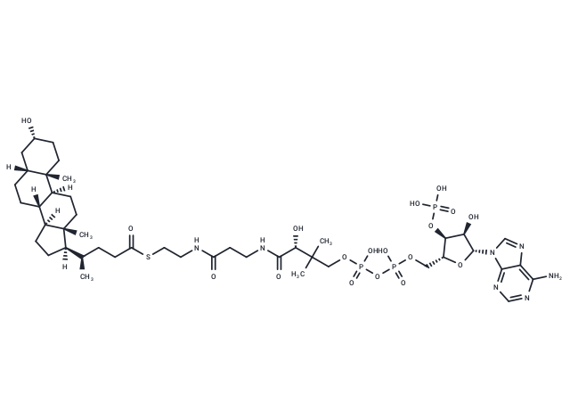 Lithocholoyl-CoA