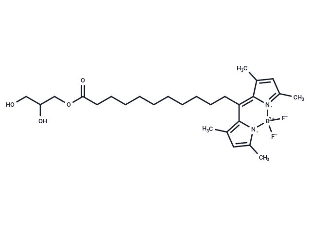 C11 BODIPY 505/515 MG