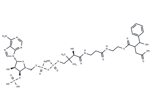 [Hydroxy(phenyl)methyl]succinyl-CoA