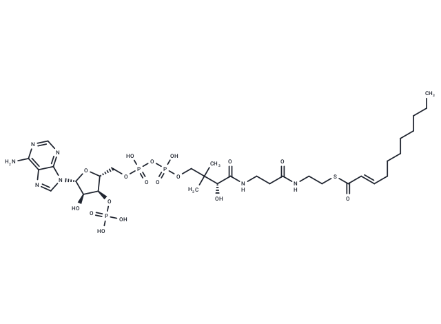 trans-2-Undecenoyl-CoA