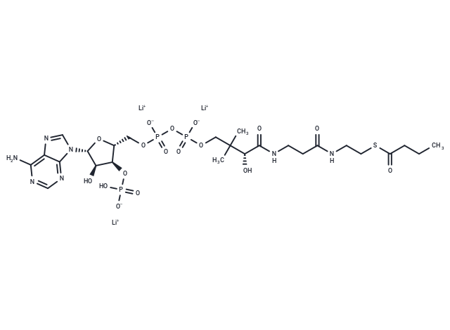 Butyryl-Coenzyme A trilithium