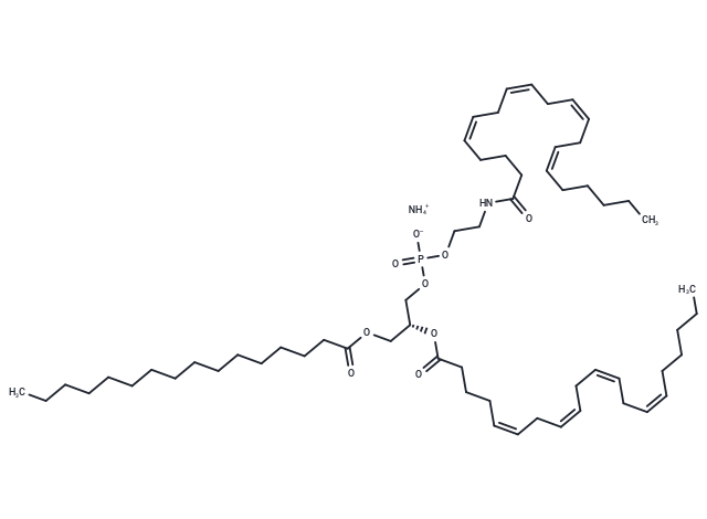 16:0-20:4 PE-N-20:4 ammonium