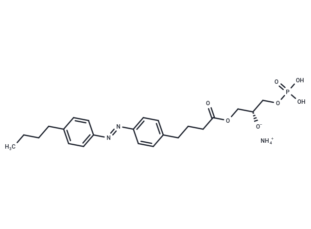 AzoLPA ammonium