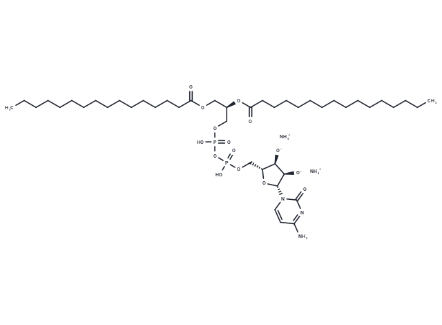 16:0 CDP DG ammonium
