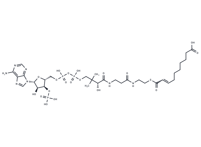 trans-2-Decenedioyl-CoA