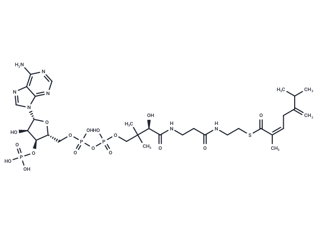 cis-2-Methyl-5-isopropylhexa-2,5-dienoyl-CoA