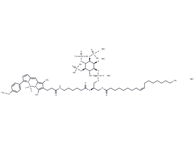 BODIPY 505/515 TMR PI(3,4,5)P3 ammonium
