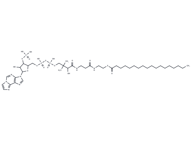 Stearoyl-epsilon-CoA