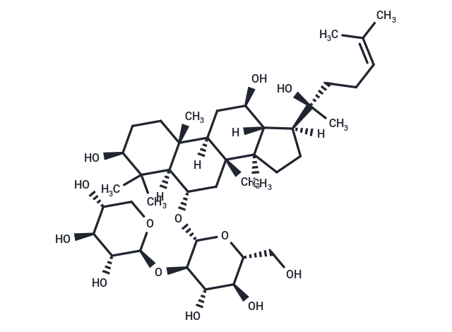 20(R)-Notoginsenoside R2 (Standard)