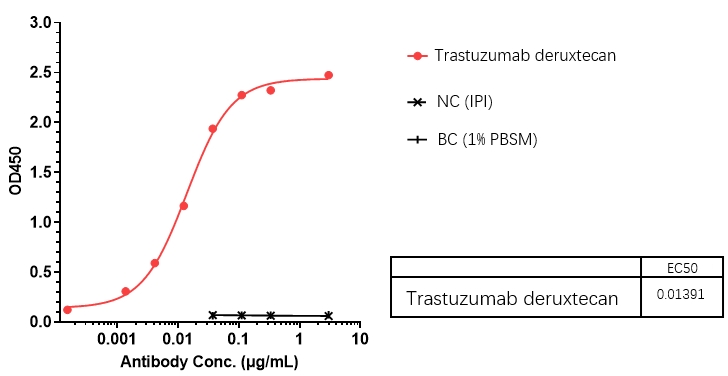 Trastuzumab deruxtecan