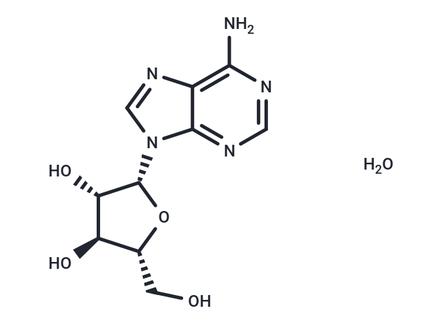 Vidarabine monohydrate