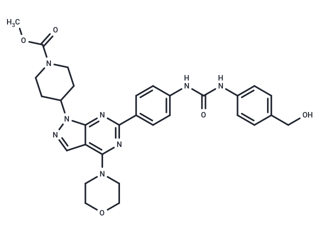 mTOR inhibitor WYE-28