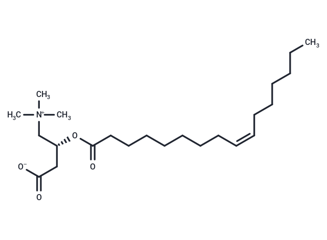 Palmitoleoylcarnitine