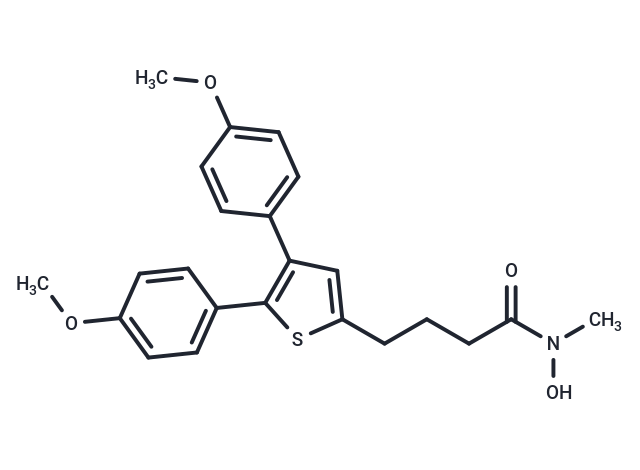 SBE-β-CD