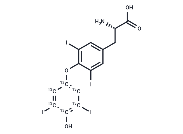 L-Thyroxine-13C6-1